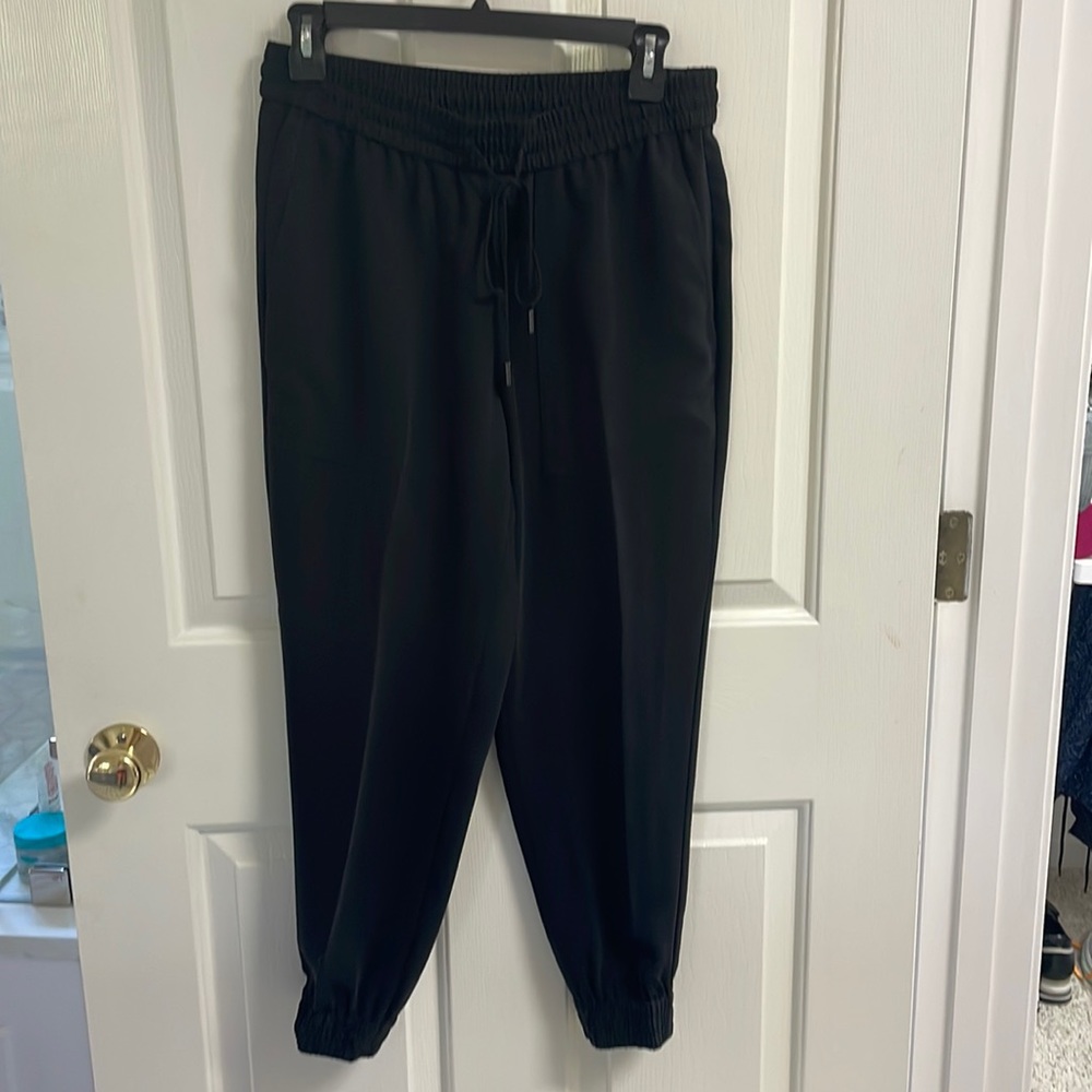 Ann Taylor jogger pants